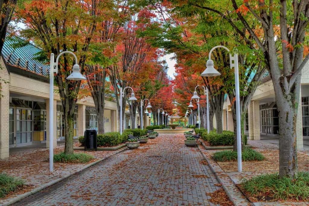 Columbia MD