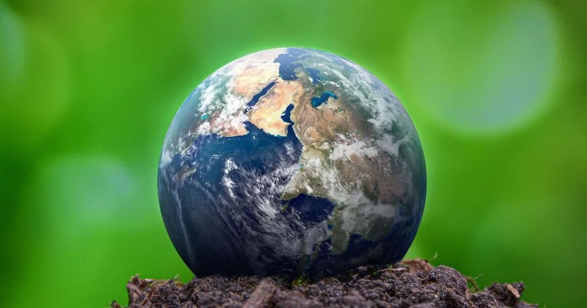 A tiny planet resting on a heap of soil.