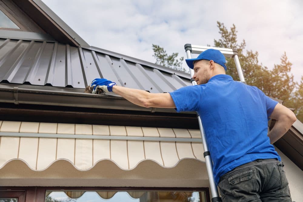 Gutter Cleaning Tips