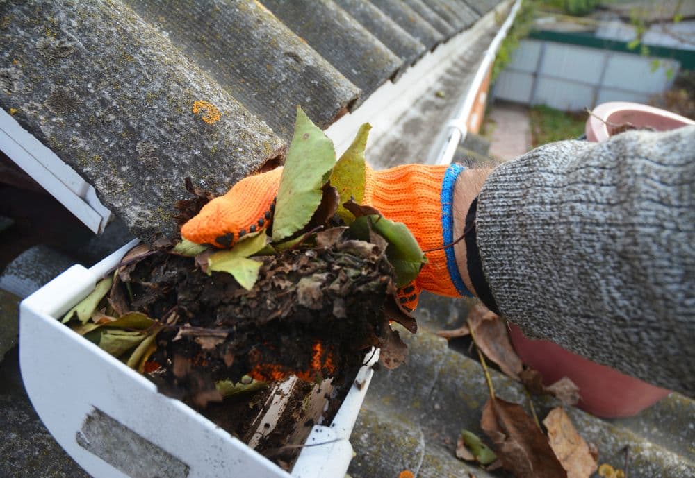 Clean Gutters
