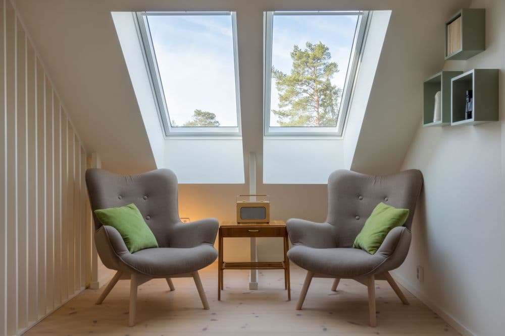 Skylight Window