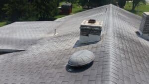 a turtle laying on top of a roof.